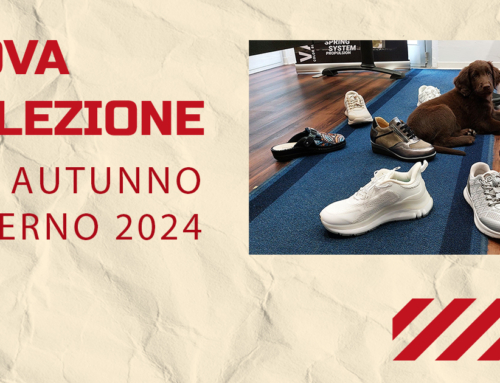 Scarpe sportive scontate online